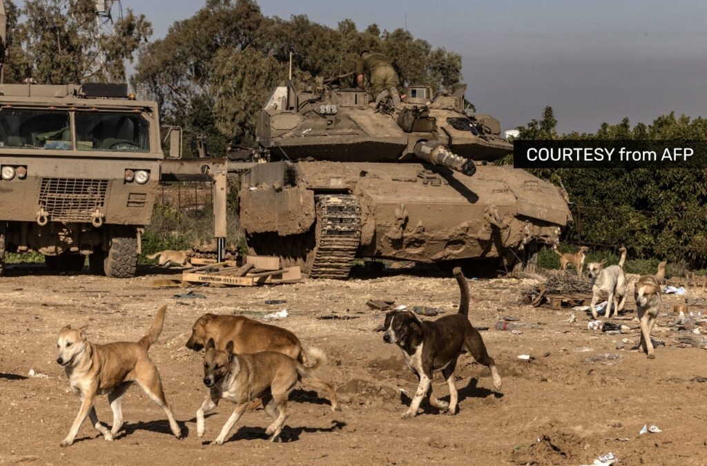 Adopt me Israel